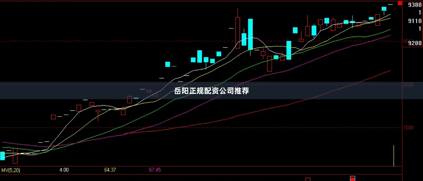 岳阳正规配资公司推荐